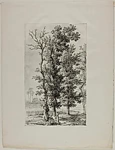 Study of Trees