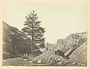 Thousand Mile Tree, Wilhelmina's Pass by Andrew Joseph Russell