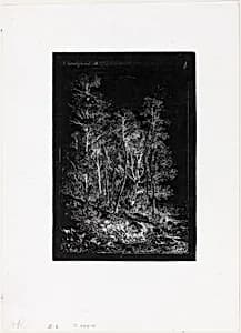 Trees by Henri Joseph Harpignies