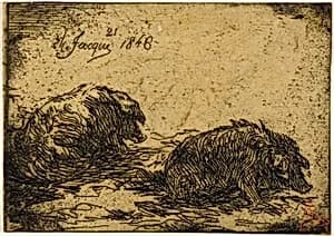 Two Pigs Lying Down by Charles Émile Jacque