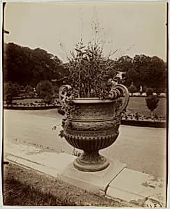 Versailles, Vase par Ballin by Jean-Eugène-Auguste Atget