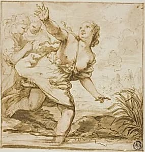 Woman in Flight
