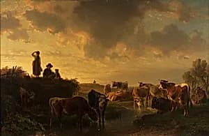 Abend auf der Viehweide