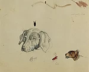 Hundestudie by Peter Krafft