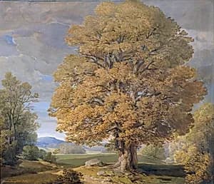 Landschaft mit Eiche by Heinrich Kugler