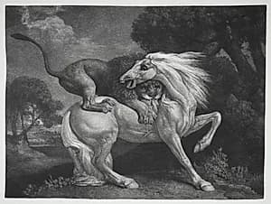A Horse Attacked by a Lion by George Stubbs (British, 1724–1806)
