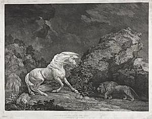 A Horse Frightened by a Lion by George Stubbs (British, 1724–1806)