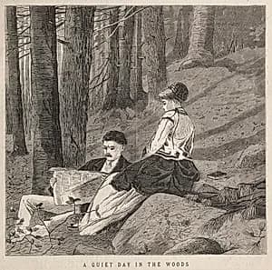 A Quiet Day in the Woods by Winslow Homer (American, 1836–1910)