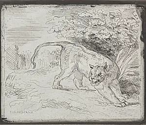 A Trapped Tiger by Eugène Delacroix (French, 1798–1863)