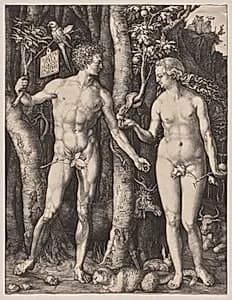 Adam and Eve by Albrecht Dürer (German, 1471–1528)