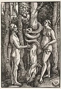 Adam and Eve by Hans Baldung (German, 1484/85–1545)
