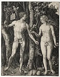 Adam and Eve by Albrecht Dürer (German, 1471–1528)