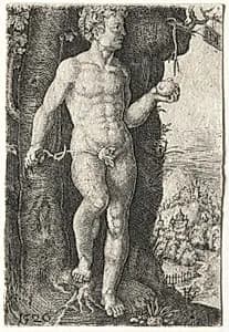 Adam by Jacob Binck (German, 1500–1569)