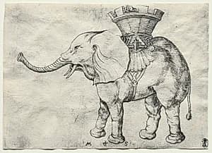 An Elephant with Howdah by Martin Schongauer (German, c. 1450–1491)