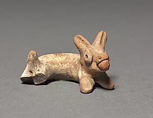 Animal by Unknown Artist