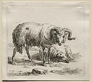 Animalia: Ram and Sheep by Nicolaes Berchem (Dutch, 1620–1683)
