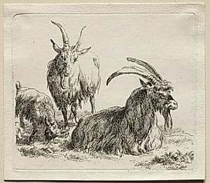 Animalia: Three Goats by Nicolaes Berchem (Dutch, 1620–1683)