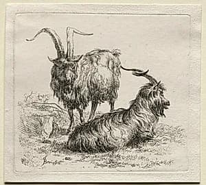 Animalia: Two Goats by Nicolaes Berchem (Dutch, 1620–1683)