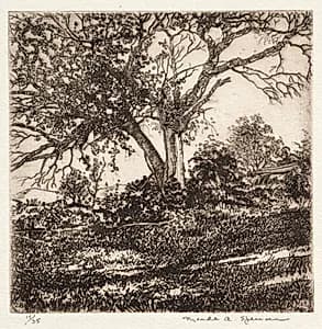 Apple Tree by Meade Ashley Spencer (American, 1896–1956)