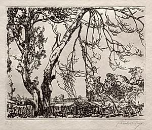 Apple Tree by Frank Wilcox (American, 1887–1964)