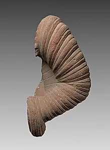 Arm of Buddha or Bodhisattva by Unknown Artist