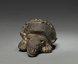 Armadillo by Unknown Artist