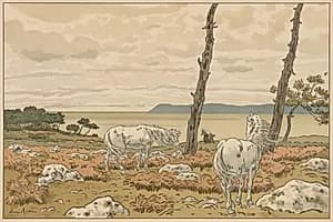 Aspects of Nature: The Bay by Henri Rivière (French, 1864–1951)