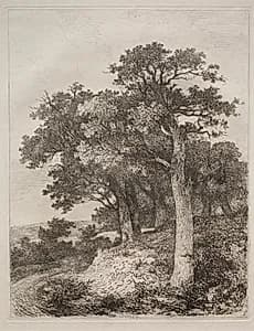 At Colney by John Crome (British, 1768–1821)