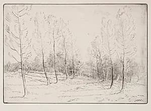 Avenue of Poplars by Alphonse Legros (French, 1837–1911)