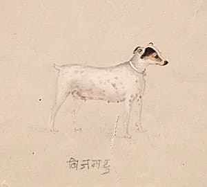 Bijantu by Unknown Artist
