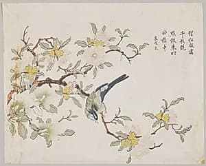 Bird on Pomegranate by Unknown Artist