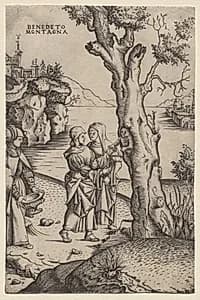 Birth of Adonis by Benedetto Montagna (Italian, c. 1481–1555/58)