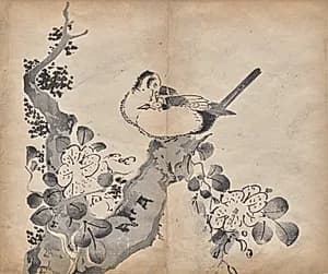 Blossoms and Birds by Unknown Artist