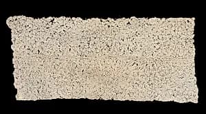 Bobbin Lace Fragment by Unknown Artist