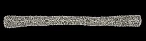 Bobbin Lace Lappet by Unknown Artist