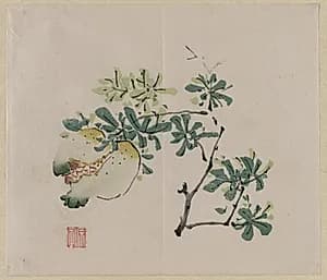 Branch with Pomegranate by Unknown Artist