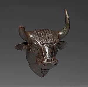 Bull Head Attachment by Unknown Artist