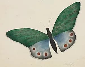 Butterfly by Mary Altha Nims (American, 1817–1907)