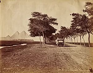 Caire. Allée de Pyramides by Félix Bonfils (French, 1831–1885)