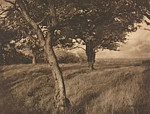 Camera Work: Beyond by A. Horsley Hinton (British, 1863–1908)