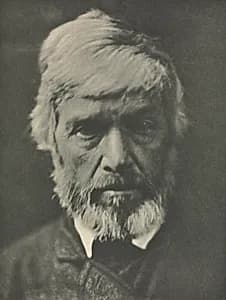 Camera Work: Carlyle by Julia Margaret Cameron (British, 1815–1879)