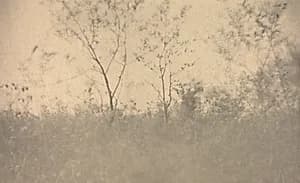Camera Work: Spring by Joseph T. Keiley (American, 1969–1914)