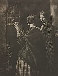 Camera Work: The Bird-Cage by David Octavius Hill (British, 1802–1870)