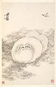 Cat and Butterfly by Min Zhen (Chinese, 1730–after 1788)