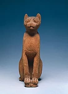 Cat Coffin by Unknown Artist
