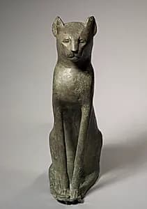 Cat Coffin by Unknown Artist