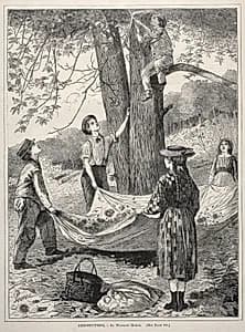 Chestnutting by Winslow Homer (American, 1836–1910)