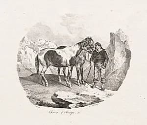 Chevaux d' Auvergne by Théodore Géricault (French, 1791–1824)