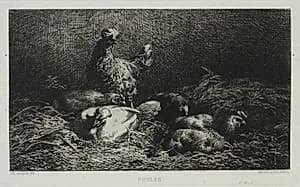 Chickens by Charles-Émile Jacque (French, 1813–1894)