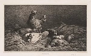 Chickens by Charles-Émile Jacque (French, 1813–1894)